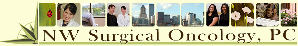 NWSO Banner2